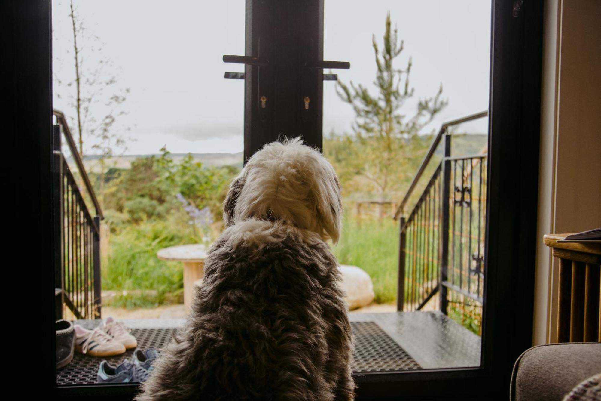 拉勒夫The Deerstone Luxury Eco Hideaway别墅 外观 照片